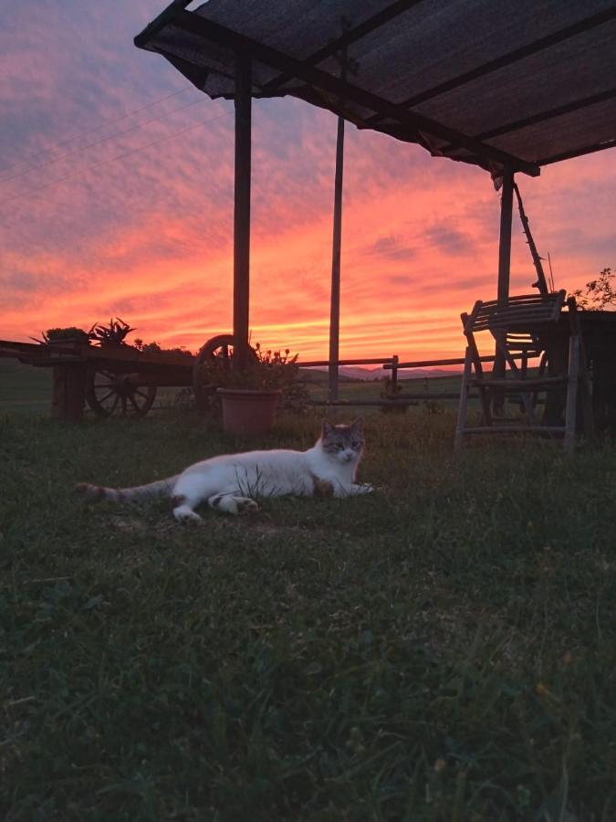Agriturismo Enjoy Sunset チニジャーノ エクステリア 写真